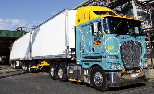 Dyers Distribution 7