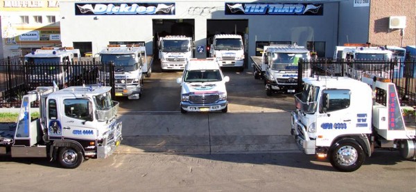 Dickies Transport 17