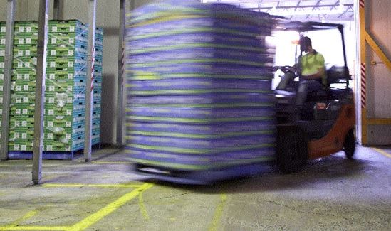 forklift 5