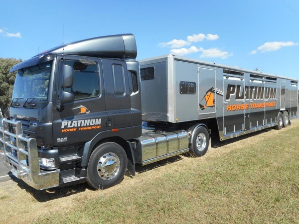 Platinum Horse Transport 1