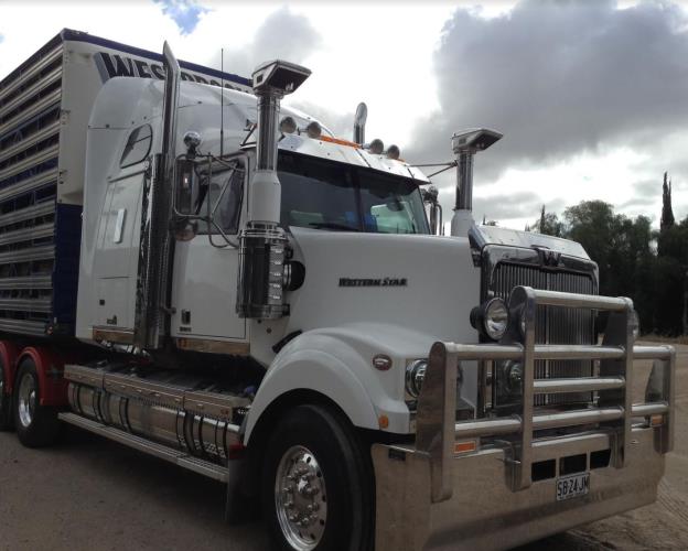 Cattle truck driving jobs australia