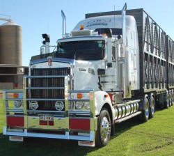 Livestock transport driver jobs