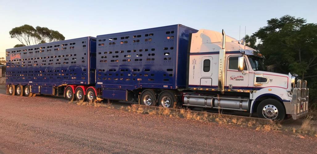 MC & HC LIVESTOCK TRANSPORT OPERATORS22757 Driver Jobs Australia