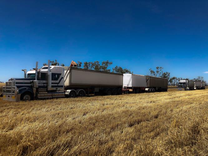 MC HARVEST DRIVERS23978 Driver Jobs Australia