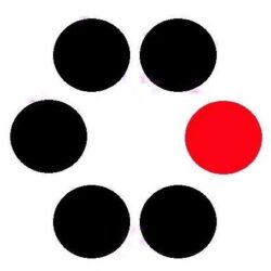 logo 1761855919.jpg